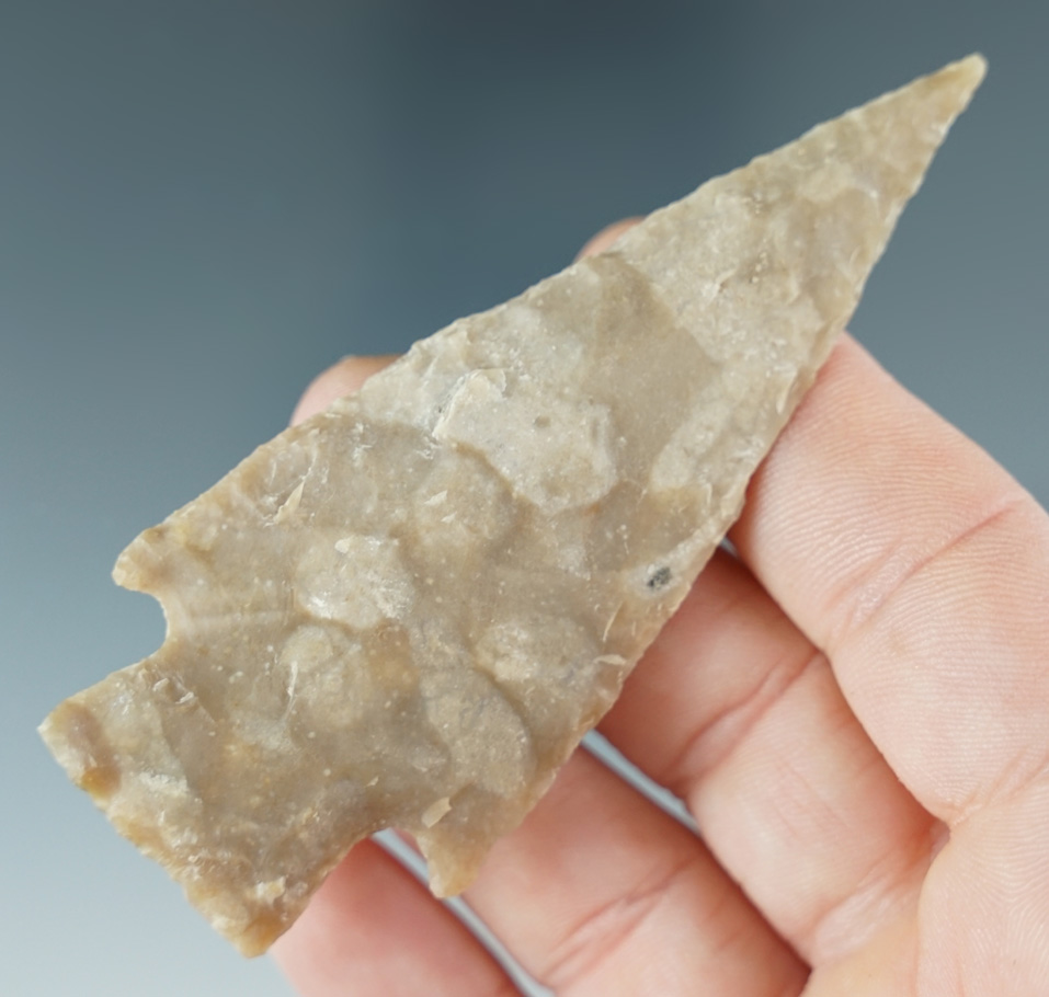 3 3/8" Castroville found in Kerr Co., Texas. Comes with a Rogers COA.