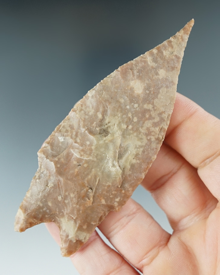 3 11/16" Pedernales found in Uvalde Co., Texas. Comes with a Rogers COA.