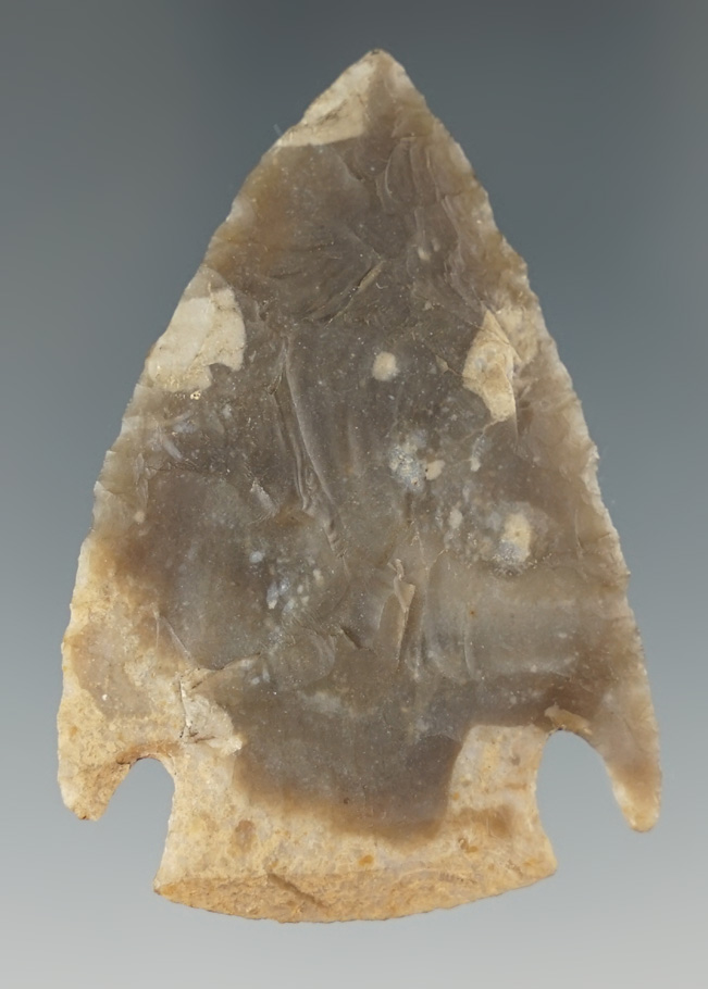 2 1/4" Castroville found in Central Texas. Comes with Jackson and Rogers COA's.