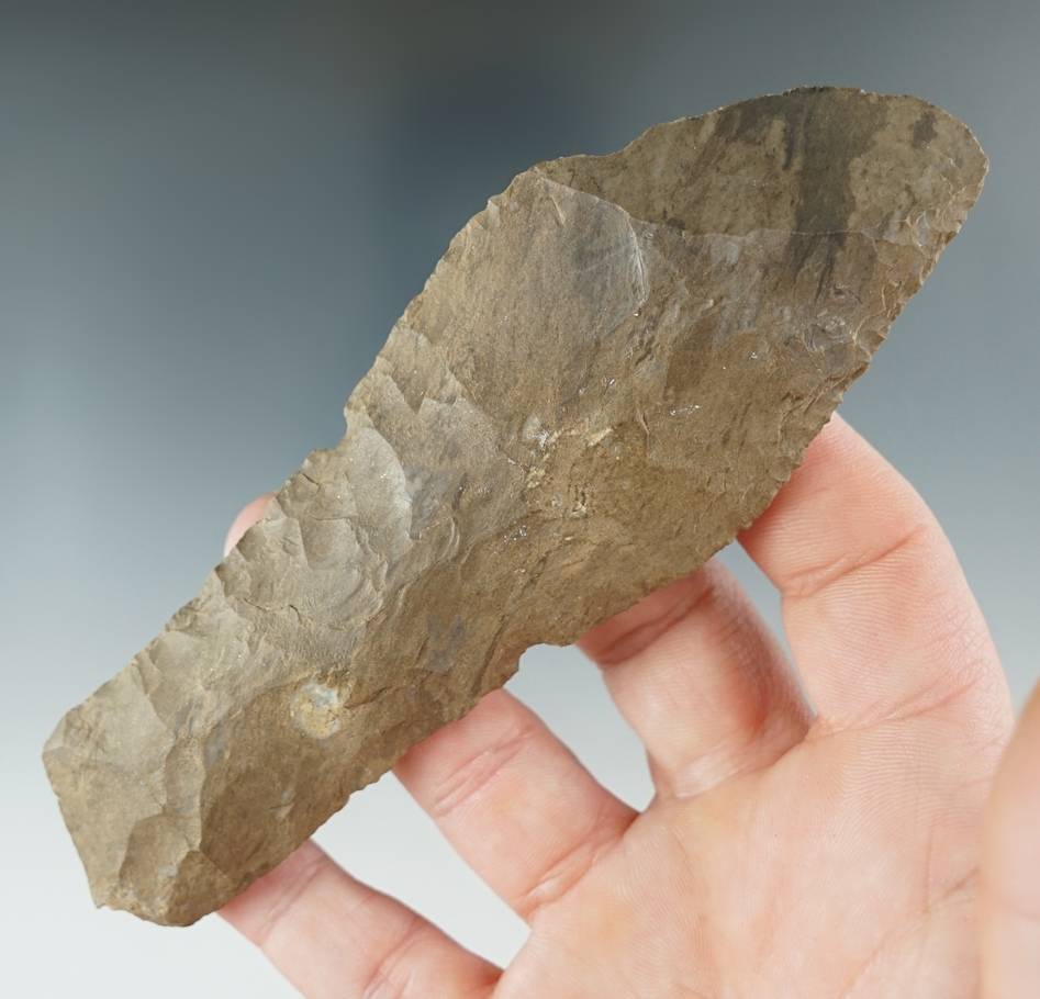 5 1/16" Dover Chert Ramey Knife with anciently salvaged base and an ancient break to blade.