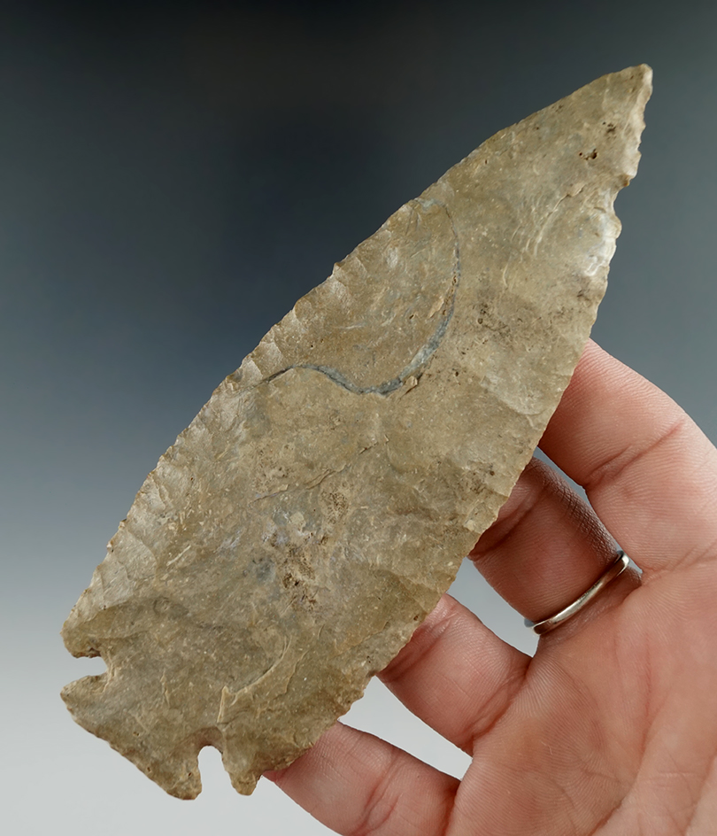 Large and nice 5" Pulaski found in Illinois that is very well patinated.  Bennett COA.