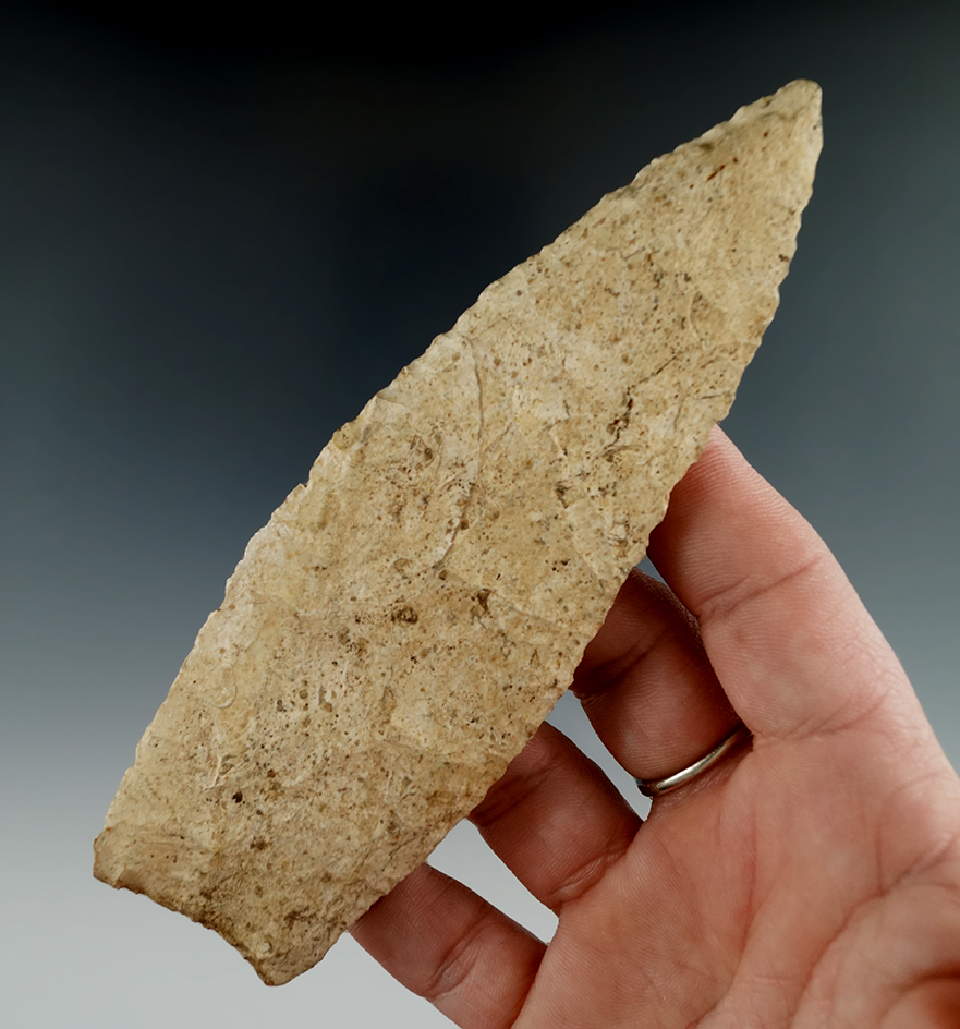 5 5/16" Angostura Knife found in Adams Co., Illinois. Comes with a Bennett COA.