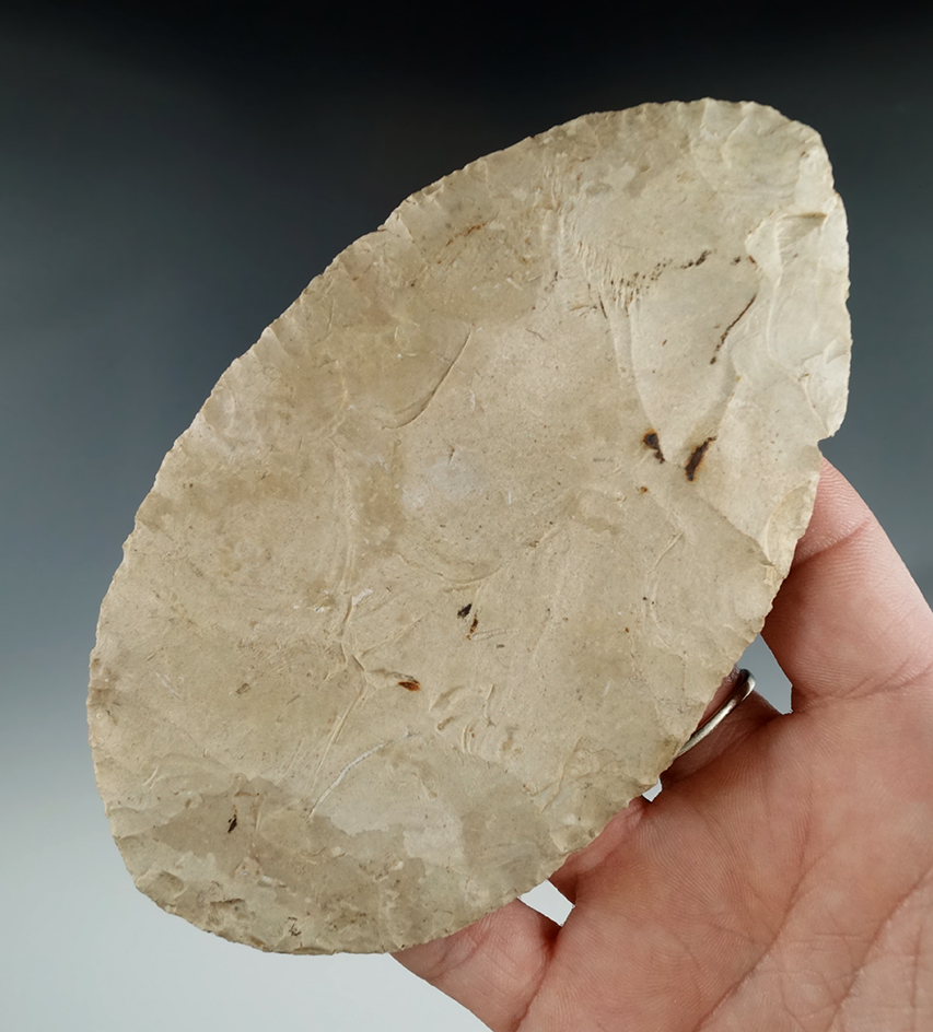 5" Ovoid Blade found in Monroe Co., Indiana on Lake Monroe.  Perino COA. Ex. Richard Sisson.