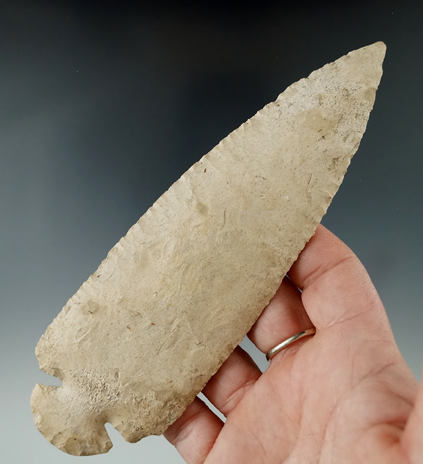 Large and nice! Excellent size on this 6 1/16" Dovetail found in 1967 near Valparaiso Indiana. COA.