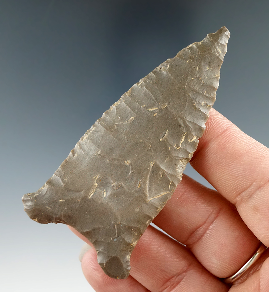 Excellent style on this 3" Paleo Quad found in Martin Co., Indiana. Perino and Davis G-9 COAs.