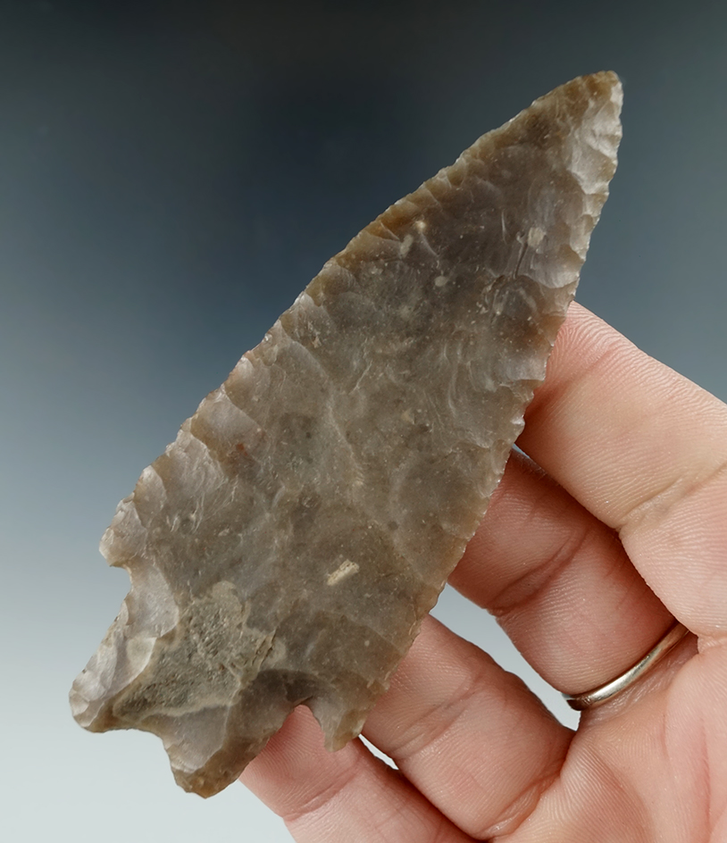 Excellent flaking in style on this 3 5/8" Gower point found in Texas. Comes with a Bennett COA.