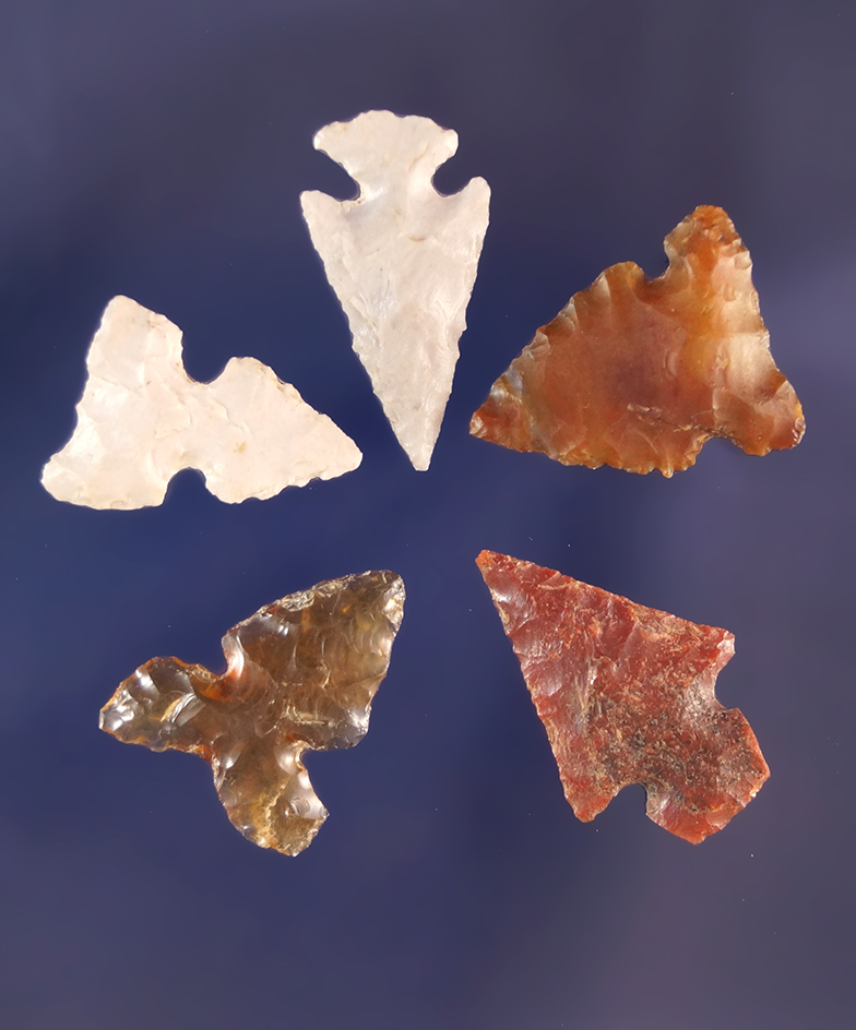 Set of five nice Columbia River Arrowheads, largest is 3/4". Coeur d' Alene River, Idaho.