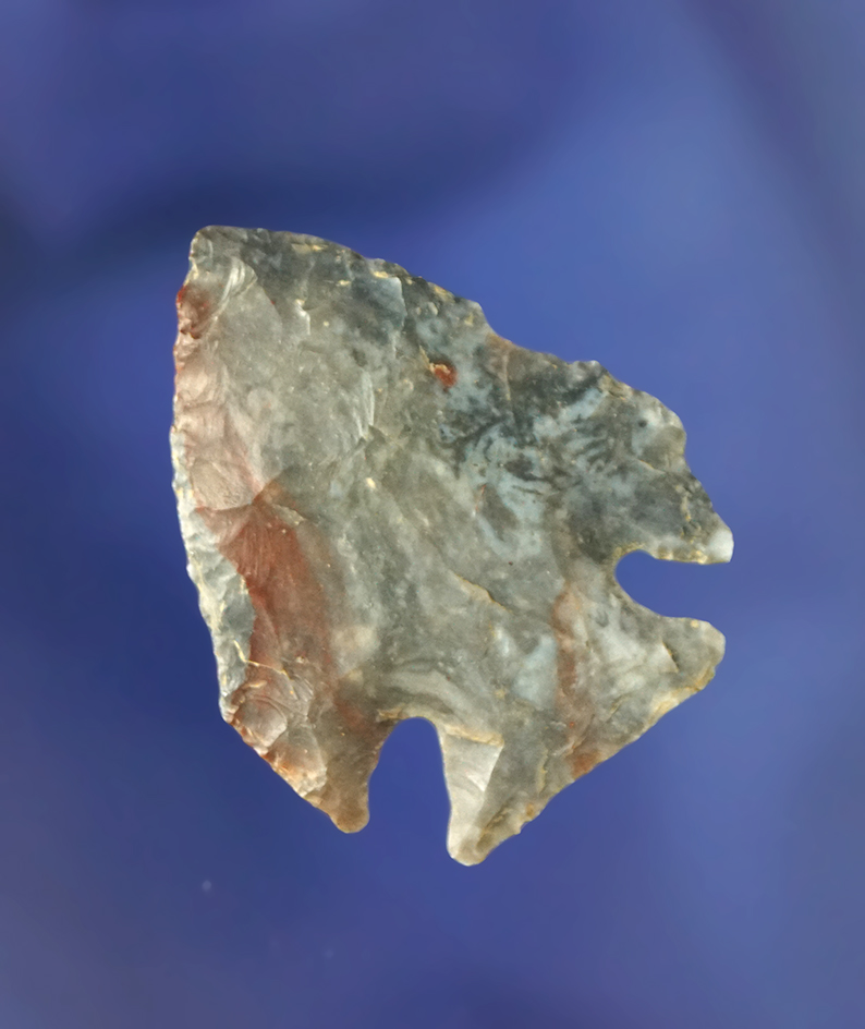 1 1/2" Coshocton Flint Intrusive Mound Pentagonal Jack's Reef point - Licking Co., Ohio.