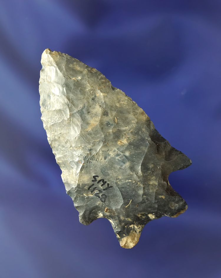 Nicely styled 2 1/2" Bifurcate found in Van Wert, Ohio. Ex. Schumm, Scott Yerkes collections.