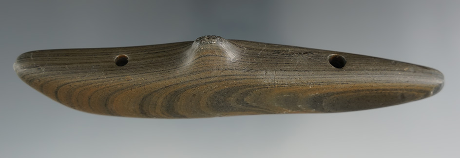 5 1/2" Glacial Kame Spineback Gorget found in Alliance, Stark Co., Ohio. Pictured in Legends.