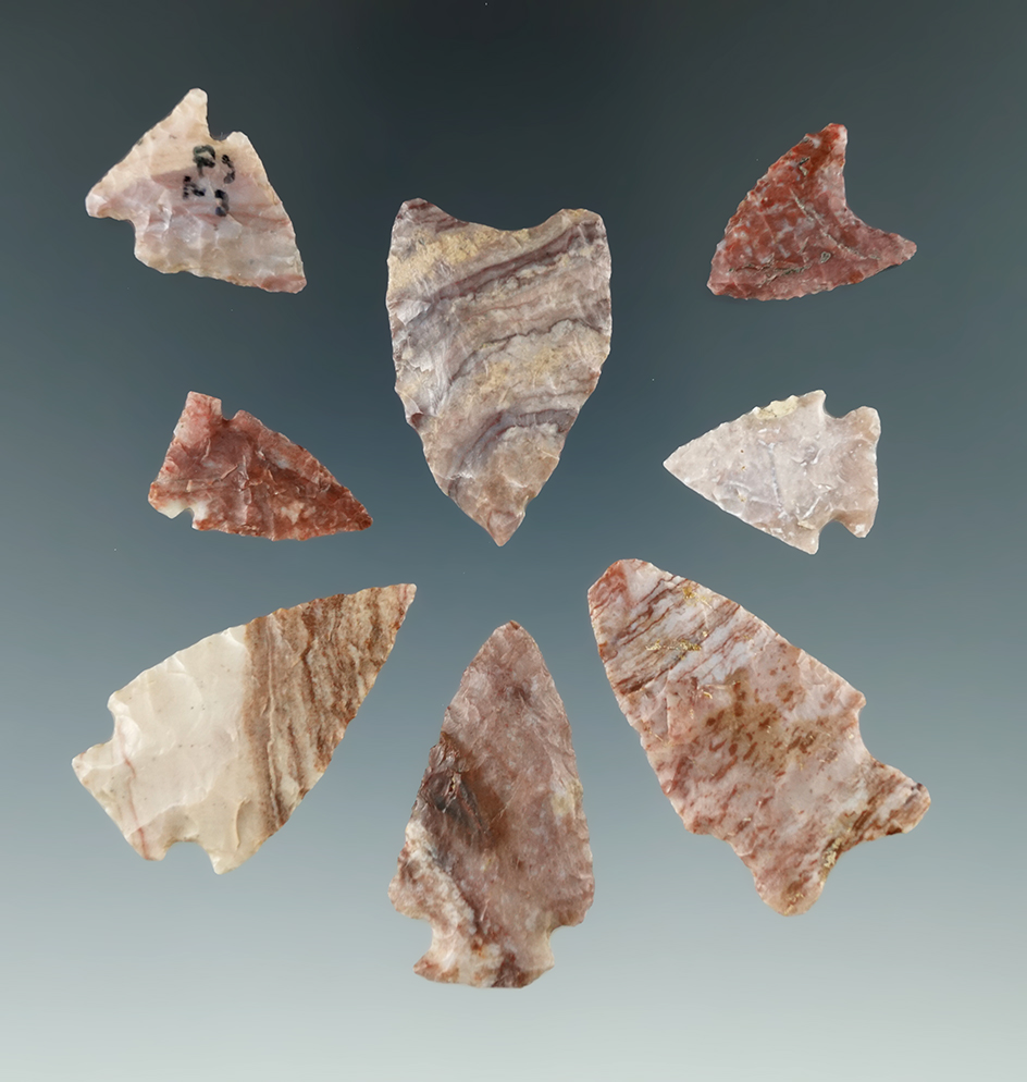 Set of eight Alibates Flint arrowheads from the Colorado area. Largest is 1 7/16". Ex. Bob Roth.
