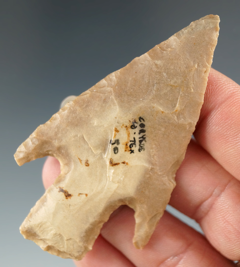 2 3/4" Marshall found in Coryell Co., Texas. Nice thin example with long barbs.