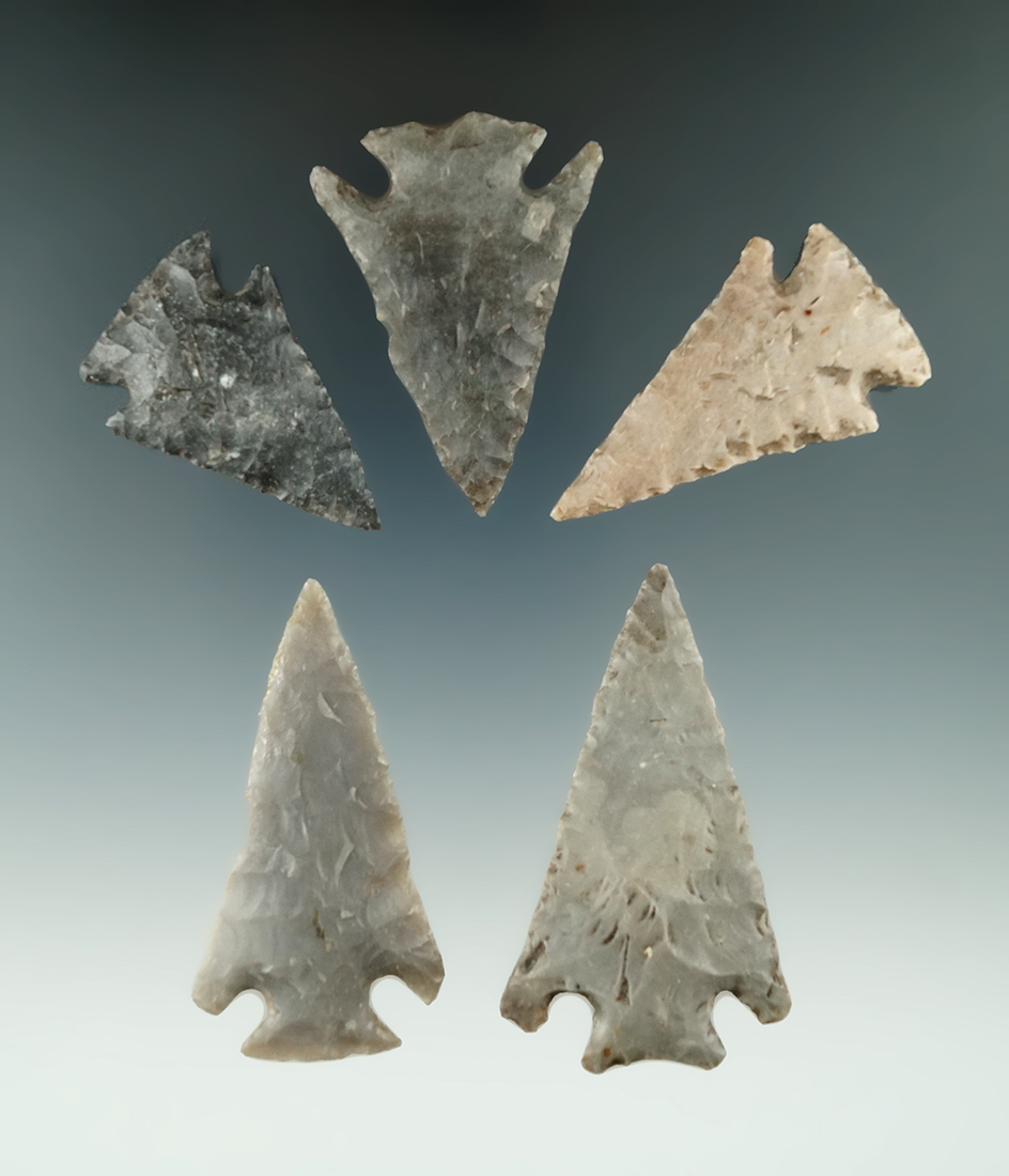 Set of five Marcos points found in Texas, largest is 2 9/16".