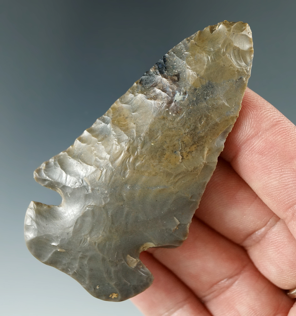 2 13/16" Dovetail made from beautiful material found by Tom Metcalfe in Harrison Co., IN.