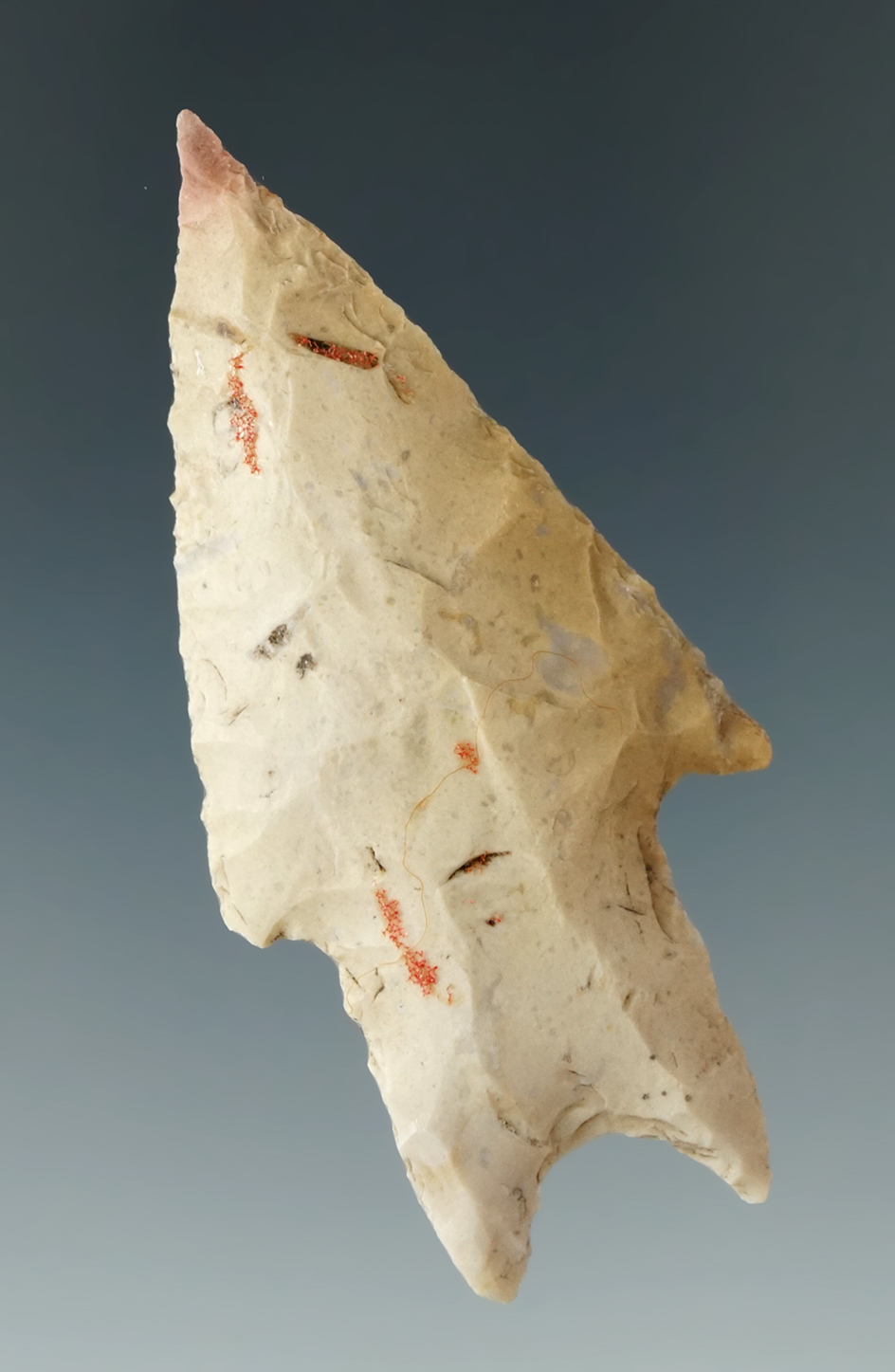 Nicely styled base of this 2 5/8" Pedernales point found in Texas.