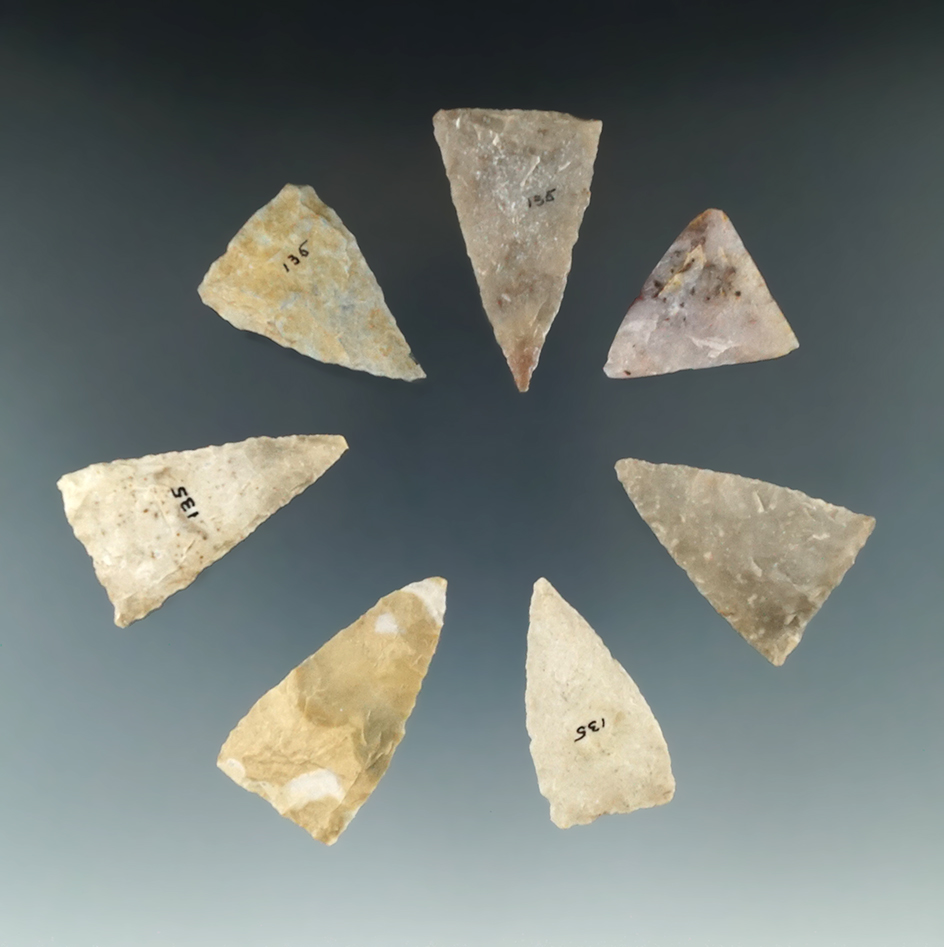 Set of seven Triangular points found in Texas, largest is 1 3/4".