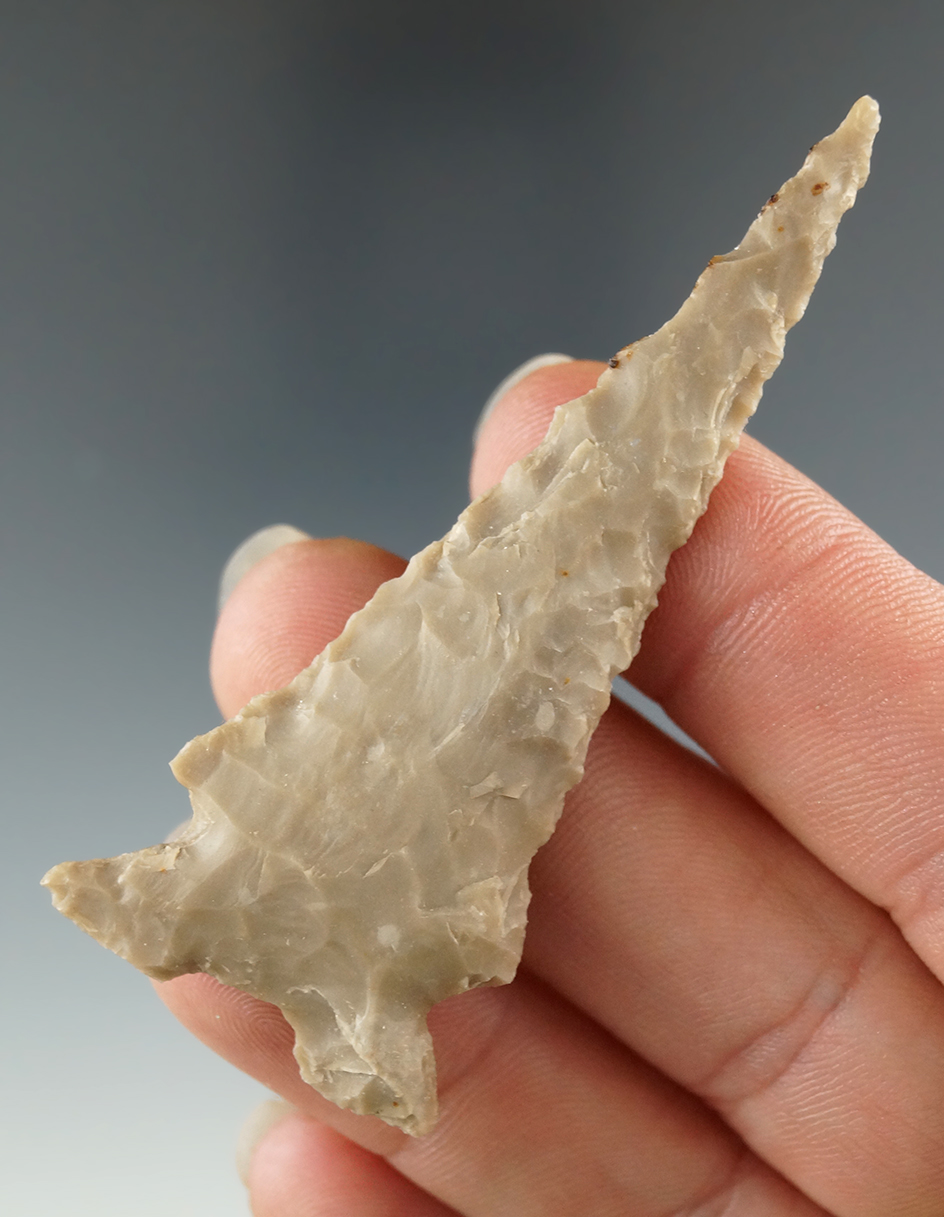 2 5/8" Ensor with a "split tail" found in Coryell Co., Texas. Comes with a Rogers COA.