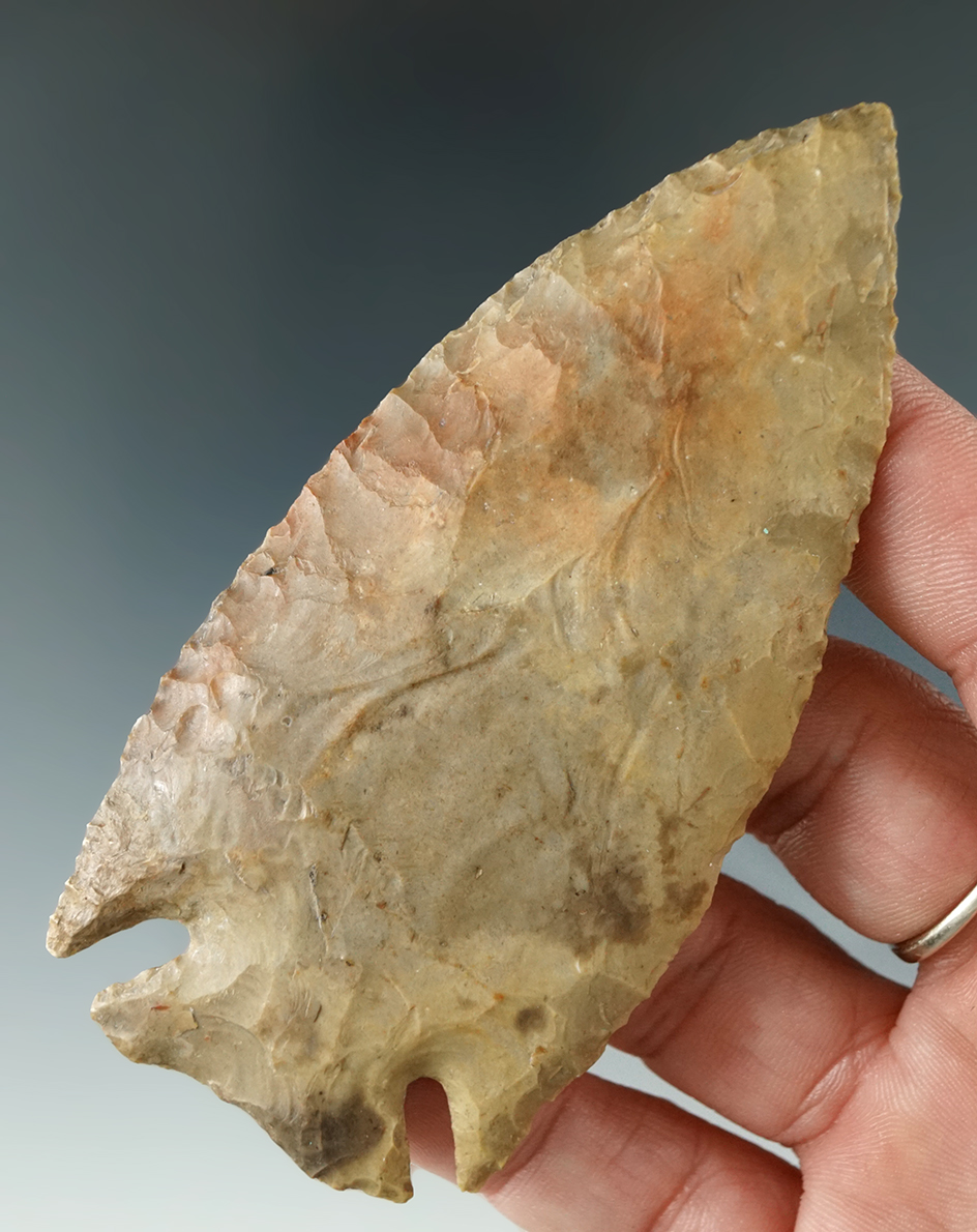 3 3/4" Archaic Cornernotch found in Livingston Co., Kentucky with restoration to 1 ear.