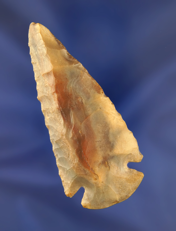 Beautiful! 3 3/8" Dovetail found in Darke Co.,  Ohio. Ex. Gary Mumaw collection.