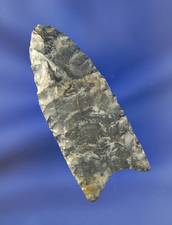 2 3/8" Paleo Fluted Clovis made from Coshocton Flint and found in Logan Co., Ohio.