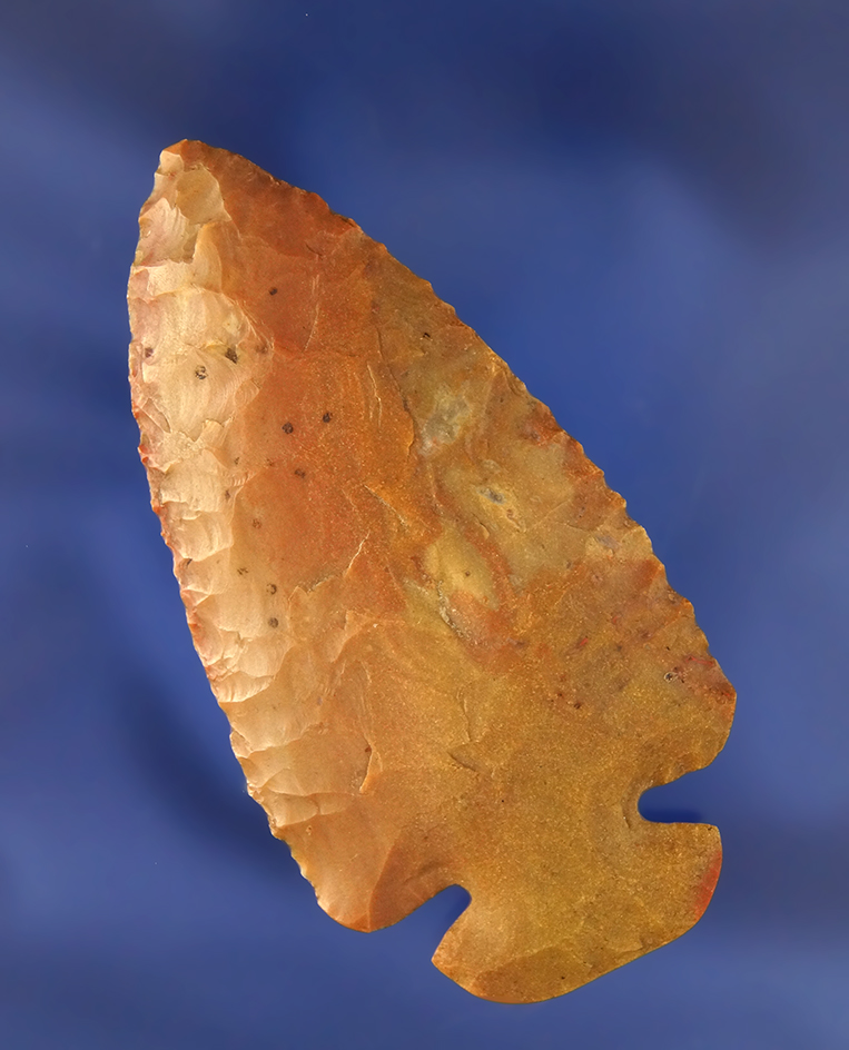 2 3/4" Carter Cave Dovetail found in Adams Co., Ohio.