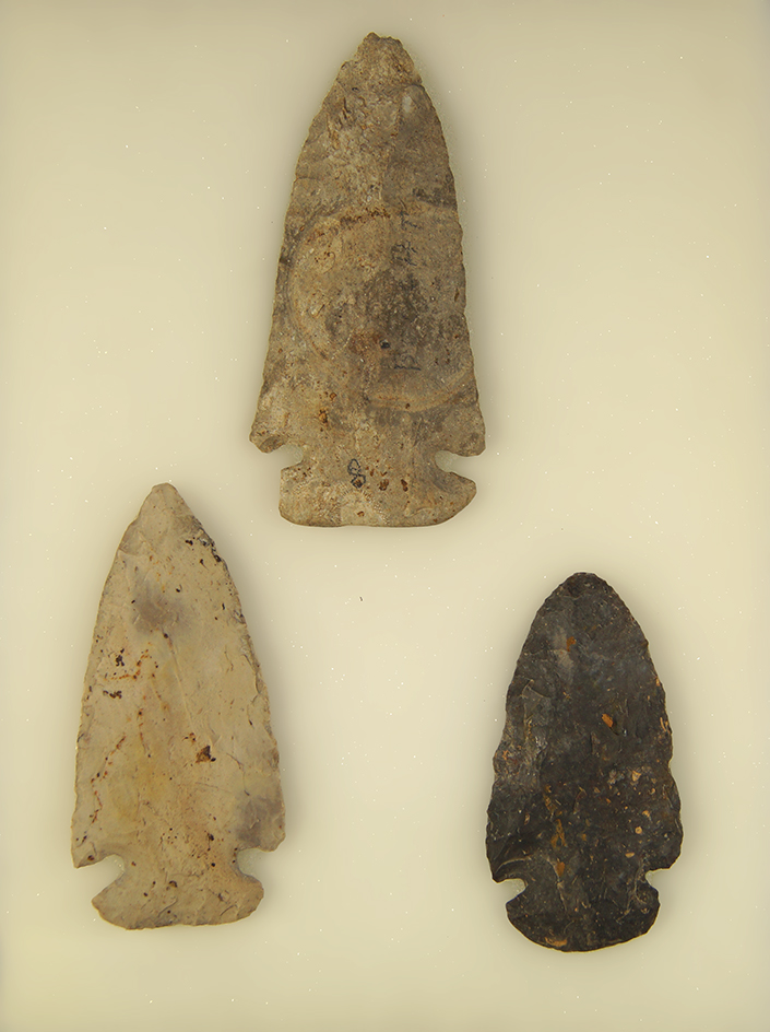 Set of 3 Dovetail's found in Ohio. Largest is 3 1/16".