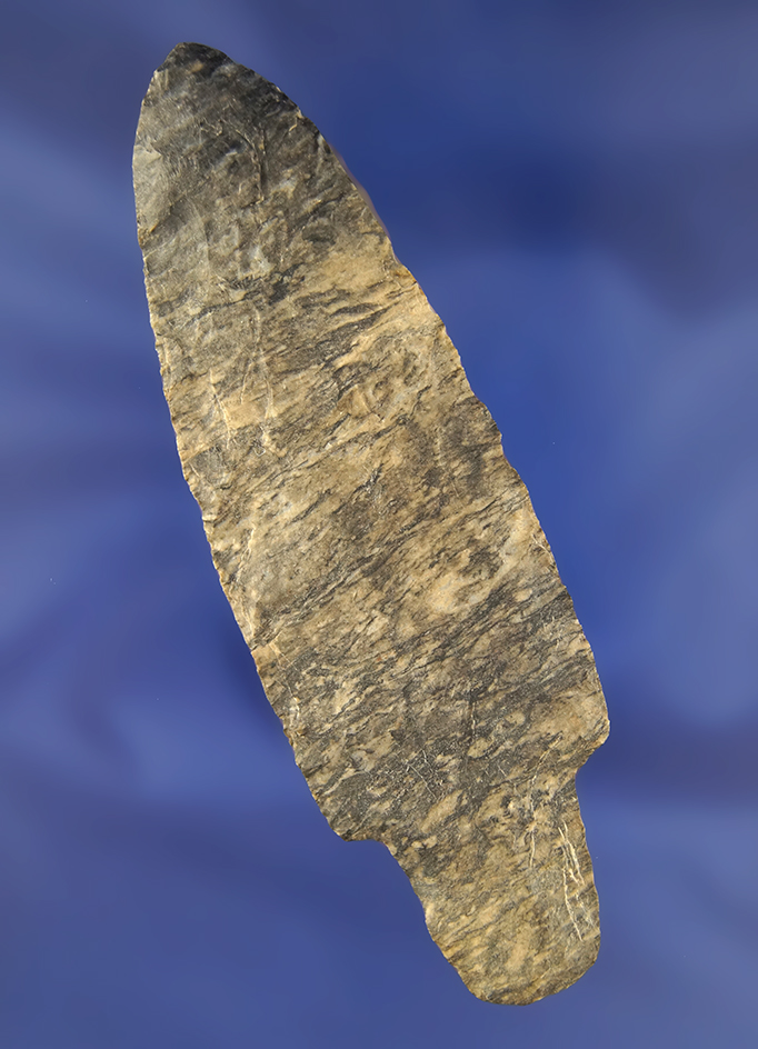 4 5/16" Adena from the frame of Norm Archer Adenas, pictured in Who's Who #2.