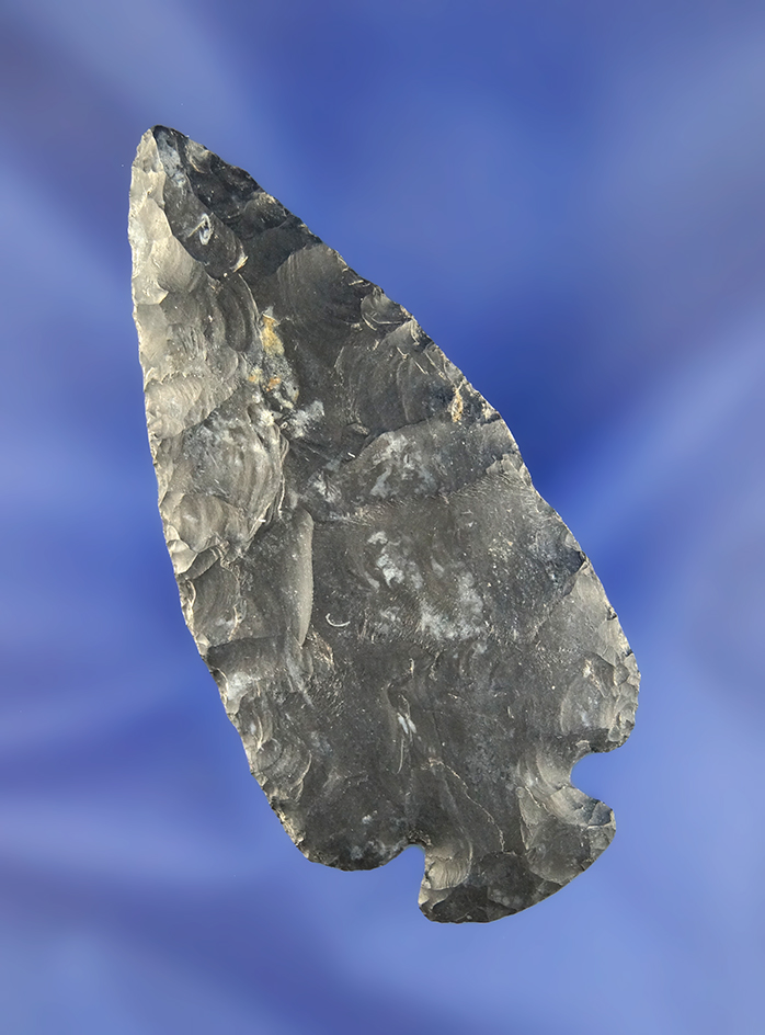 3 1/16" Coshocton Flint Dovetail found in Holmes Co., Ohio. Ex. Macy Hallock collection.
