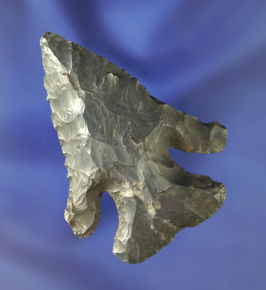 2 1/2" Coshocton Flint Archaic Thebes Bevel in excellent condition found in Ohio.