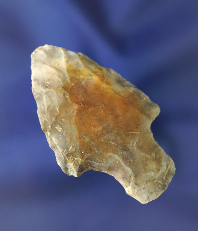 2 1/8" Flint Ridge Flint Adena found in Putnam Co., Ohio.