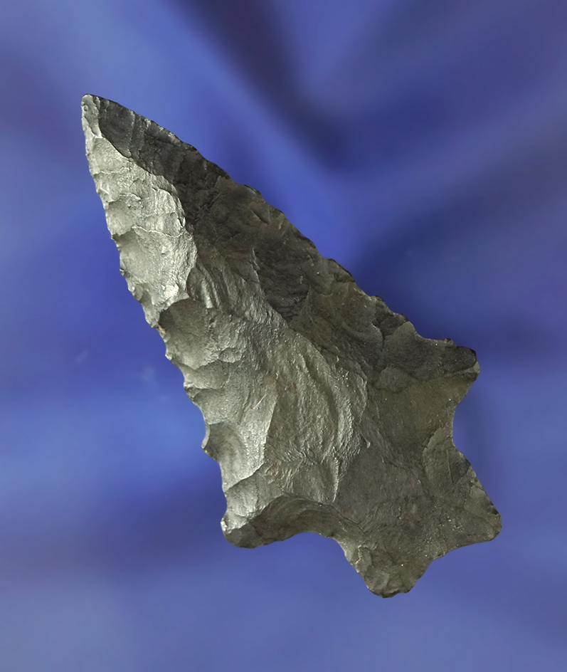 Fine 2 3/8" CoshoctonHeavy Duty Point found by Phil Kientz in Franklin Co., Ohio.  Ex. Jack Hooks.