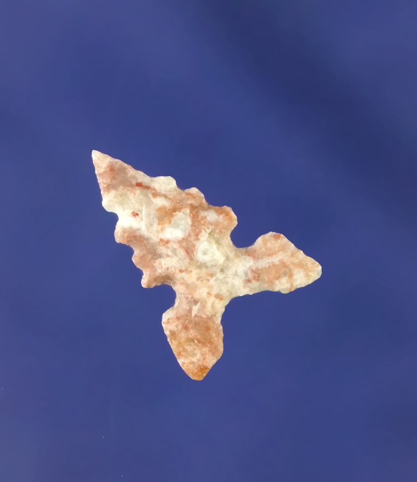 Nicely serrated 3/4" Toyah made from beautifully mottled white and pink material.