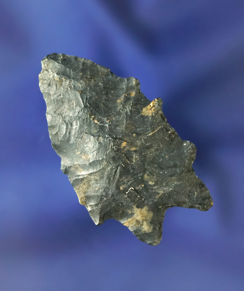 1 13/16" Tapered Stem Bifurcate found in Wayne Co., Ohio.  Ex. Hooks.