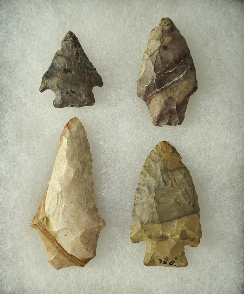 4 Colorful chert points found in Northern Ohio.  Ex. Sauer.
