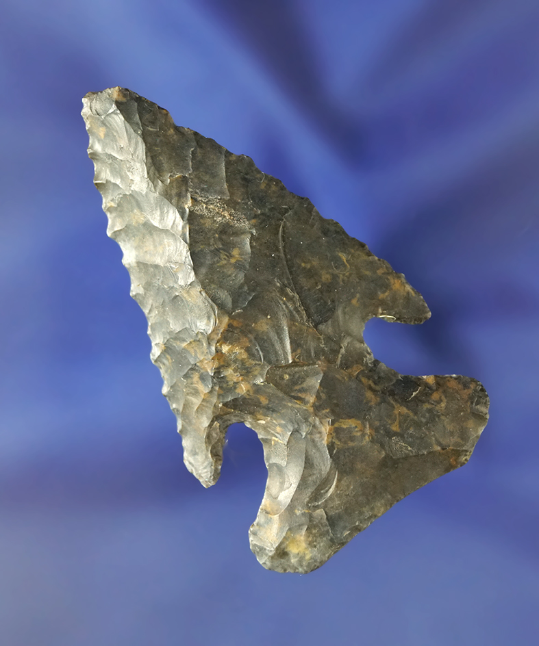 2 1/2" Coshocton Flint Thebes Bevel found in Ohio.