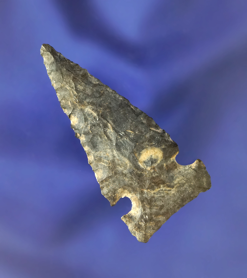 Excellent patina, flaking and symmetry on this 2 1/16" Coshocton Flint Sidenotch found in Ohio.