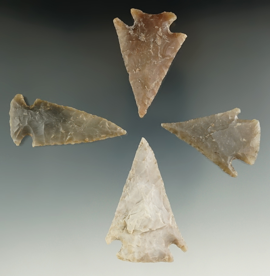 Set of four nice Texas arrowheads, largest is 2 3/8".