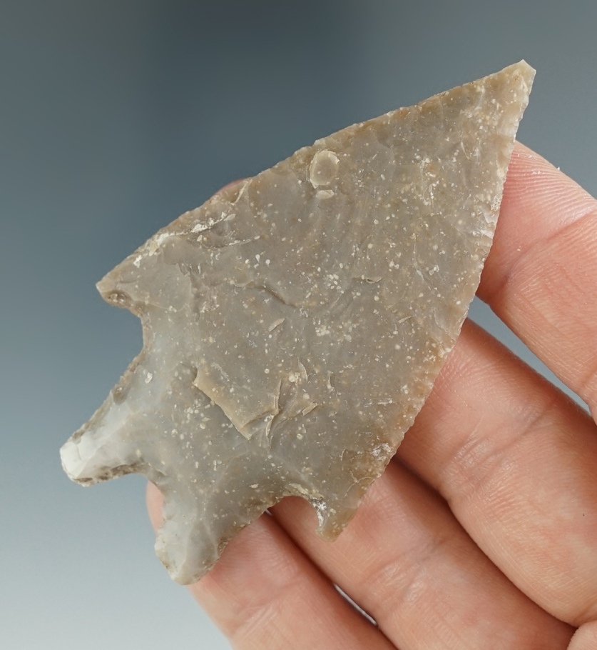 2 7/8" Pedernales made from Edwards Plateau Chert, found in Gillespie Co., Texas. Bennett COA.