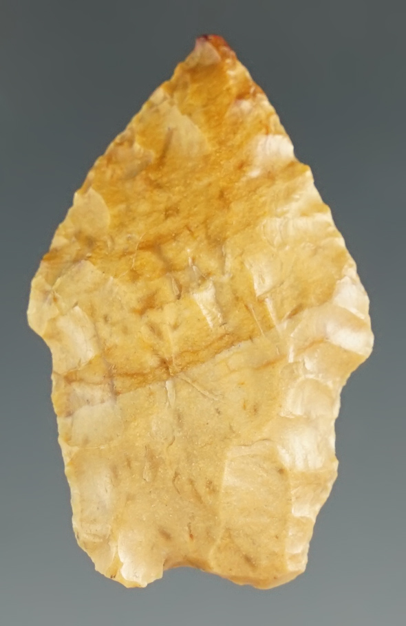 1 3/8" Spedis made from variegated chert. Found along the Columbia River in Oregon. Stermer COA.