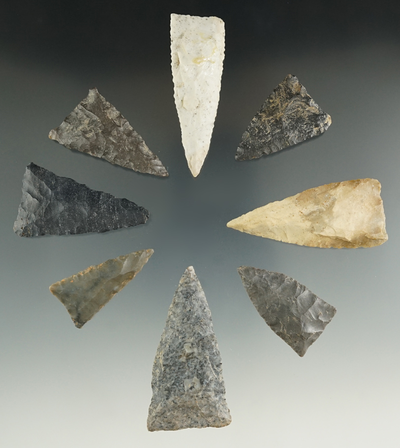 Group of 8 triangle points found at the Fox Field site in Mason County Kentucky. Largest is 2 3/16".