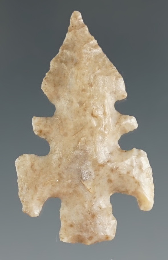 1 7/16" Duran made from tan chert, found in Starr Co., Texas. Comes with a Rogers COA.