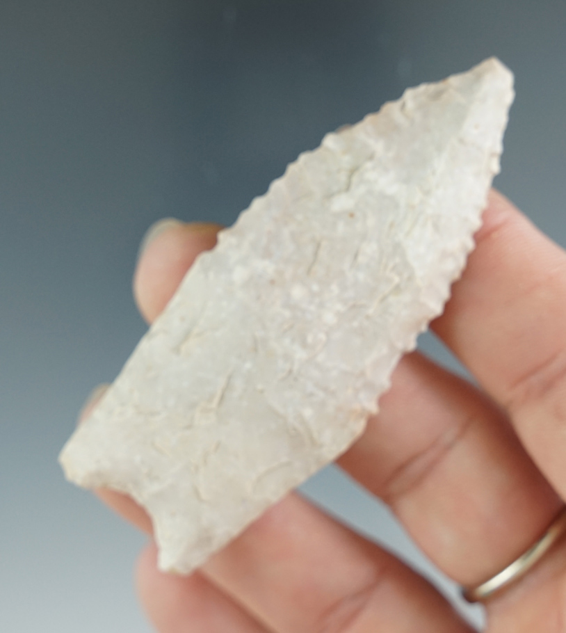 2 7/8" Angostura made from light gray chert, found in Bell Co., Texas. Comes with a Rogers COA.