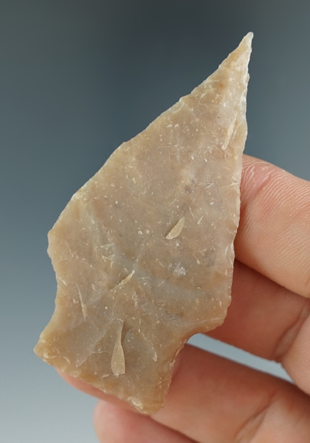 2 5/8" needle tip Nolan points found in Texas.