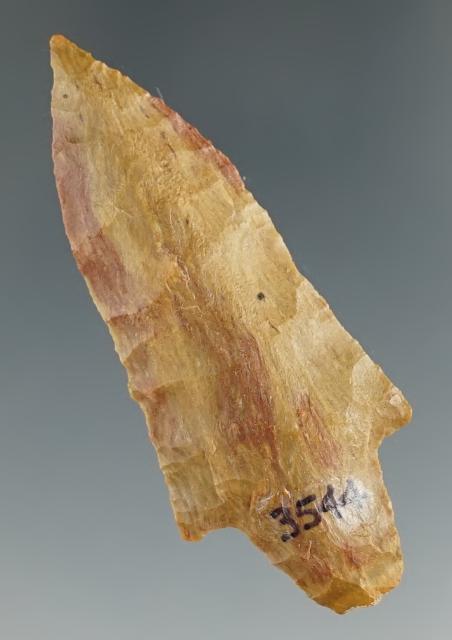 2 3/16" Gary made from Petrified Wood, found in Angelina Co., Texas. Comes with a German COA.