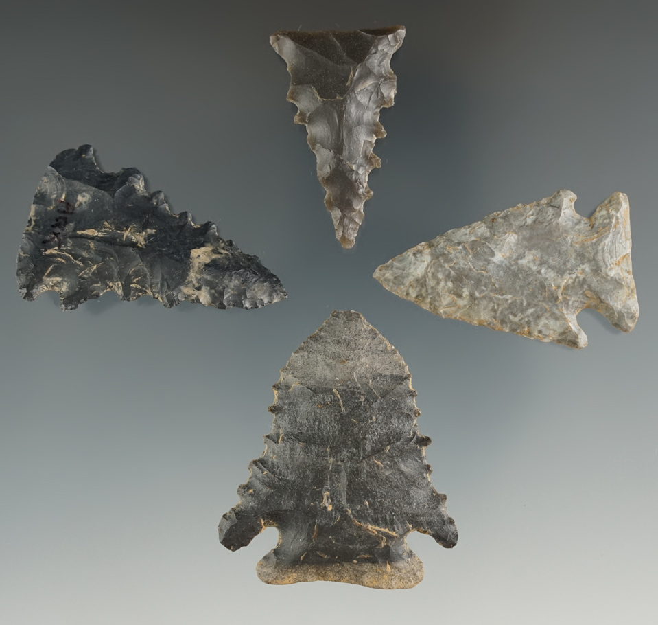 Set of four well styled points found in Kentucky, largest is 1 13/16".