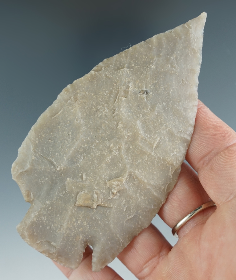 Large! 3 15/16" needle tip Cornernotch Knife - thin for size with an ancient nick to one ear - Texas