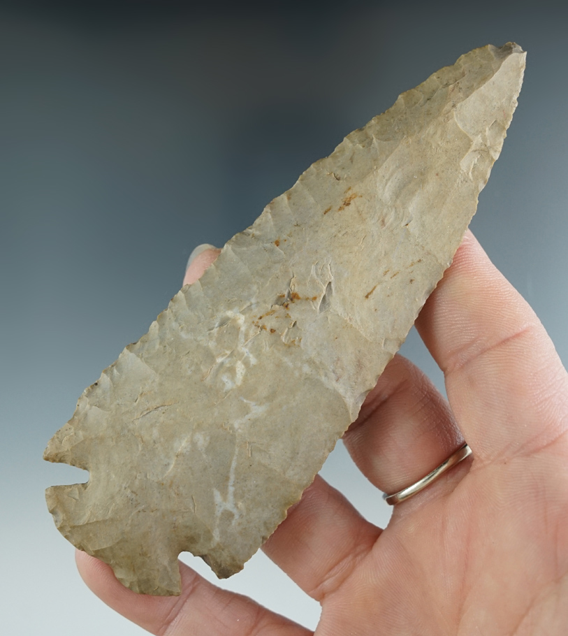 4 9/16" Dovetail found in Butler Co., KY by Jimmy Wren in the 1940's  on his family farm. 2 COA's.