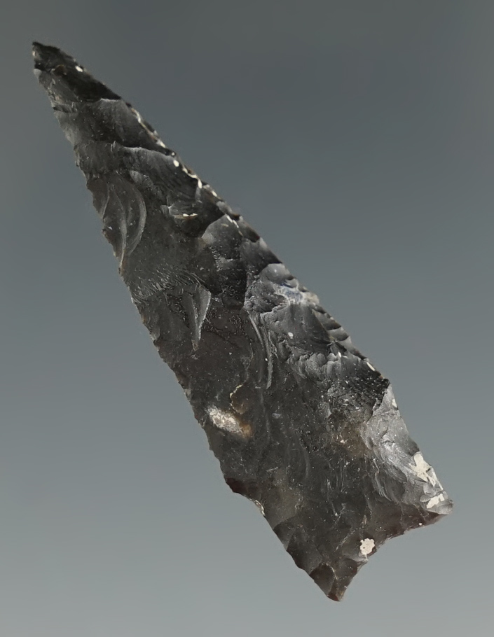 1 3/4" Darl found in Coryell Co., Texas. Comes with a Rogers COA.