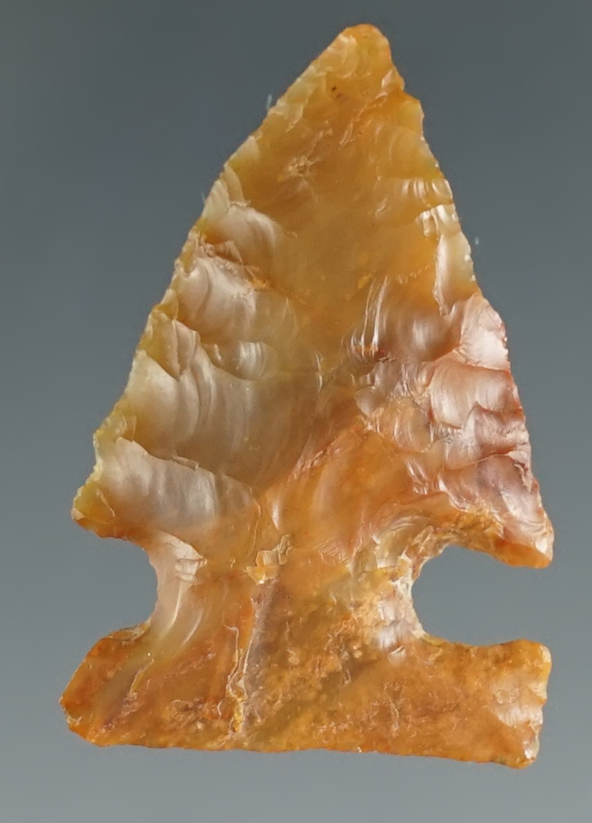 1 5/16" Northern Sidenotch found in the 1950's by Norma Berg near the Columbia River, WA.  COA