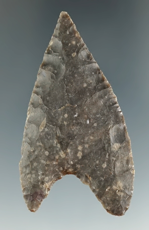 2 5/16" Kinney made from black chert, found in Hays Co., Texas. Comes with a Rogers COA.